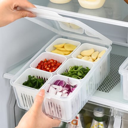 6 Grid Fridge Storage Box ( ১ পিস )
